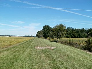 Property photo 1 - AUCTION-20+/- ACRES OFFERED IN 2 TRACTS IN WAYNE COUNTY